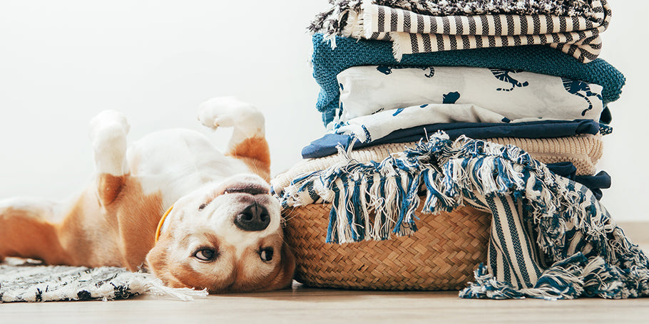 Five Tips to Spring Clean Your Laundry Routine